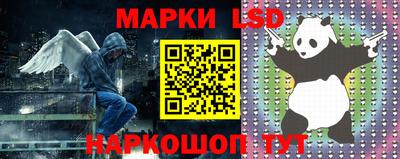 сатива Бузулук