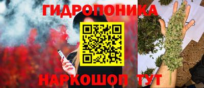 кокс Будённовск