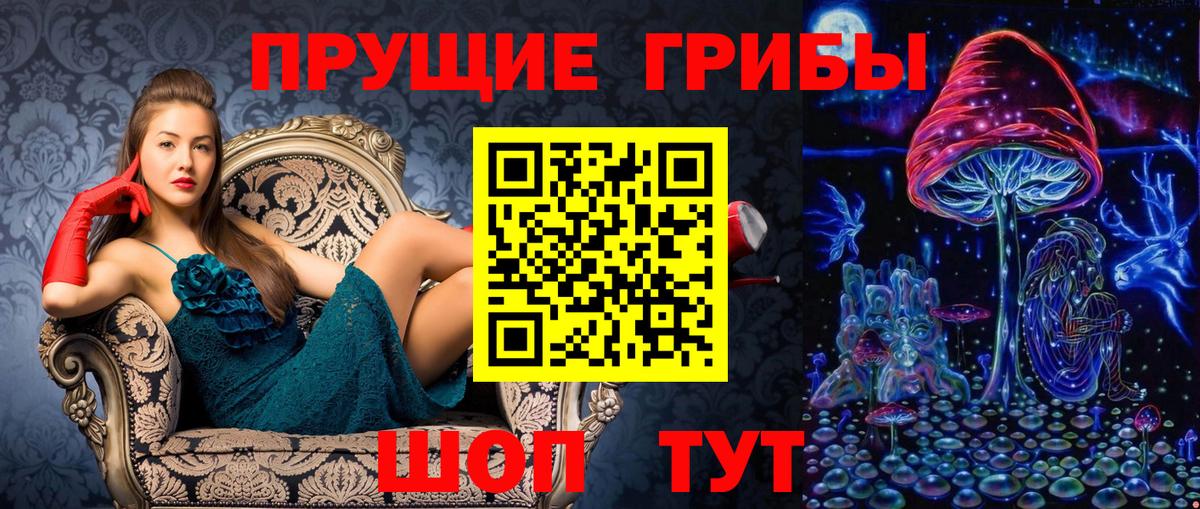 Псилоцибиновые грибы GOLDEN TEACHER  Псилоцибиновые грибы ЛСД  Вход с VPN  Сальск 