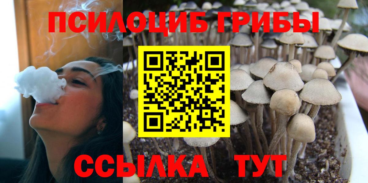 Псилоцибиновые грибы мухоморы Сальск